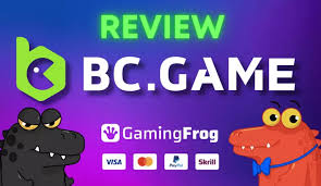Guía Completa sobre el Soporte de BC.Game