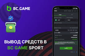 Guía Completa sobre el Soporte de BC.Game