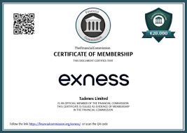 How to Navigate the Exness Trial Account Login Effectively How to Navigate the Exness Trial Account Login Effectively